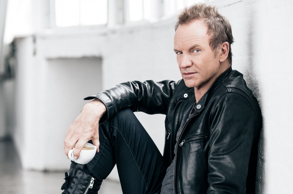 Sting Says ‘Absolutely Not’ to Rock Star Biopic Treatment