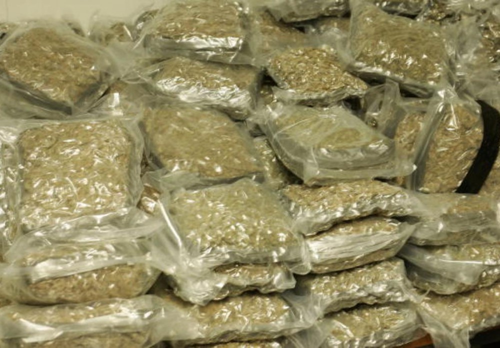 Browns' Greg Robinson Arrest Details: 157 lbs Of Weed Seized