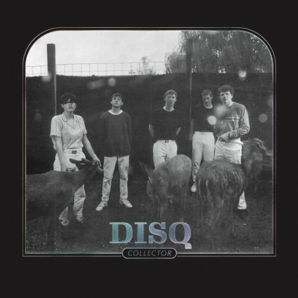Disq – "Loneliness"