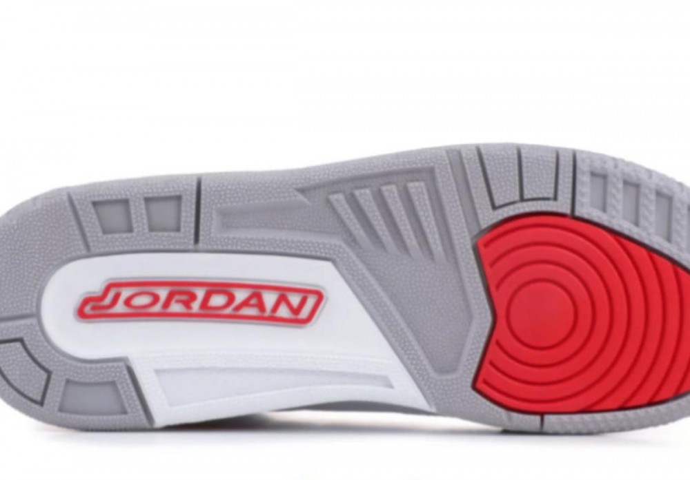 Air Jordan 3 “Animal Instinct” Coming Soon: First Look