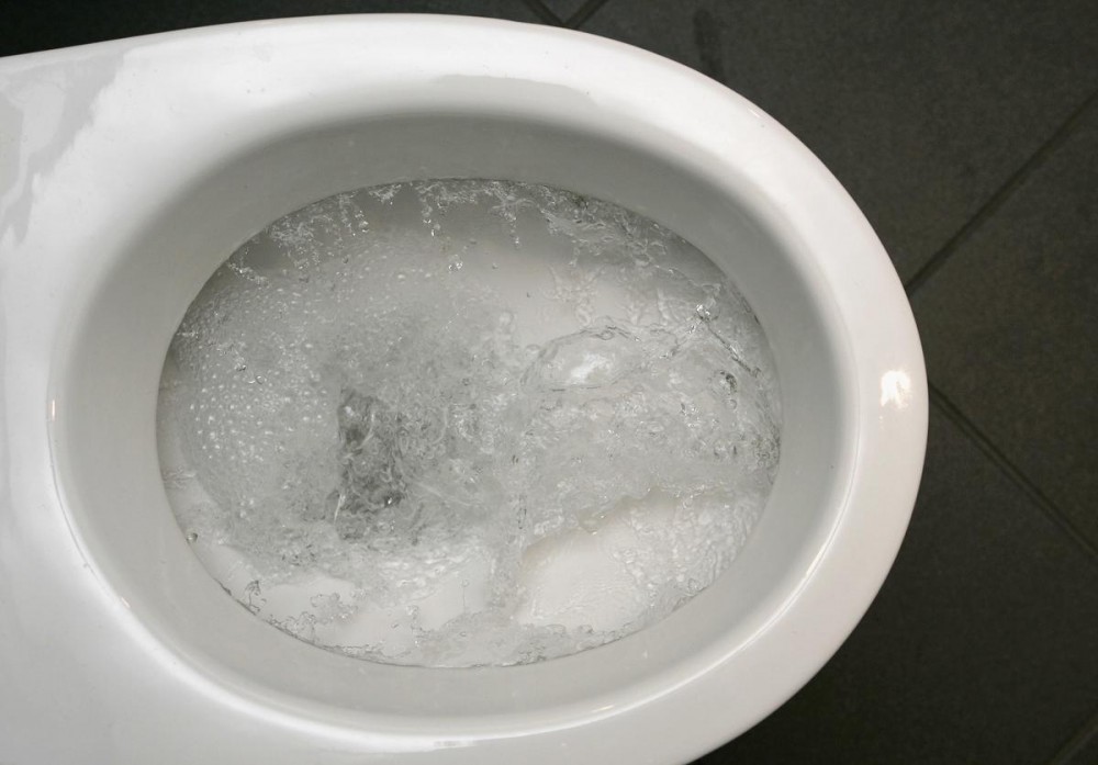 Influencer Hospitalized With Coronavirus After Licking Toilet Seat: Report