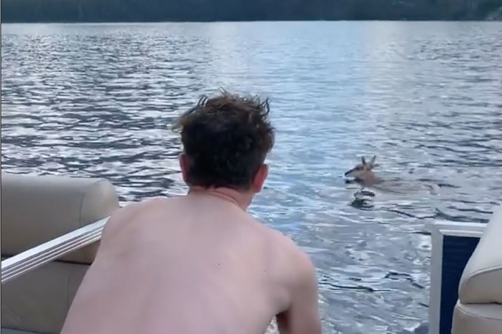 Blink-182’s Mark Hoppus Saved a Panicked Deer From a Lake