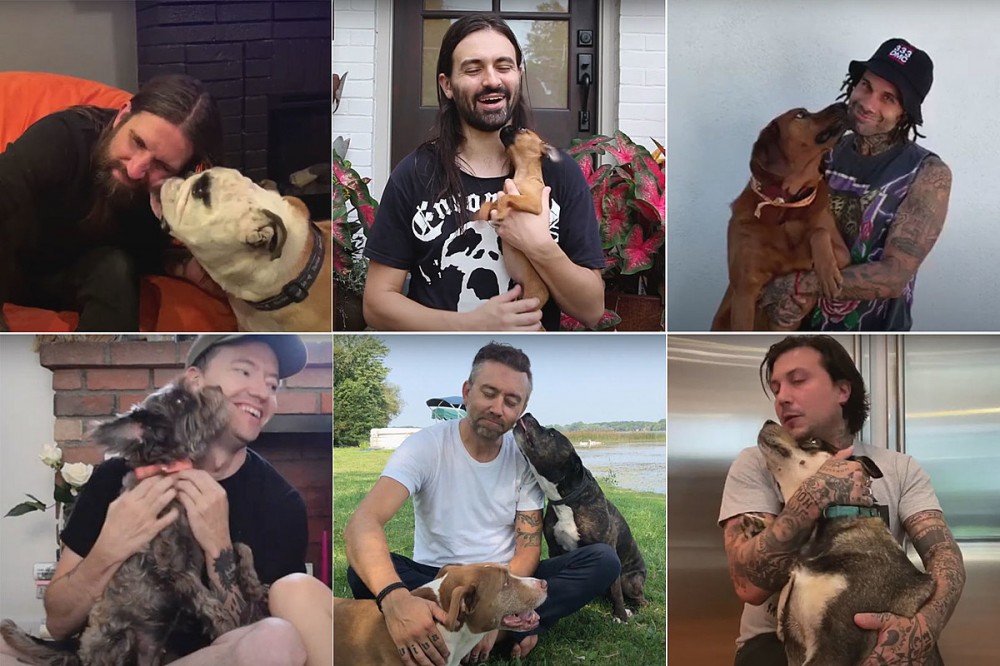 WATCH: Touche Amore Soothe the Soul With Rocker Pets in ‘Reminders’ Video