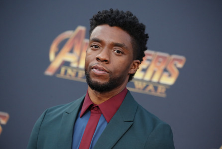 Chadwick Boseman’s Wife Files Probate to Control Actor’s $1M Estate