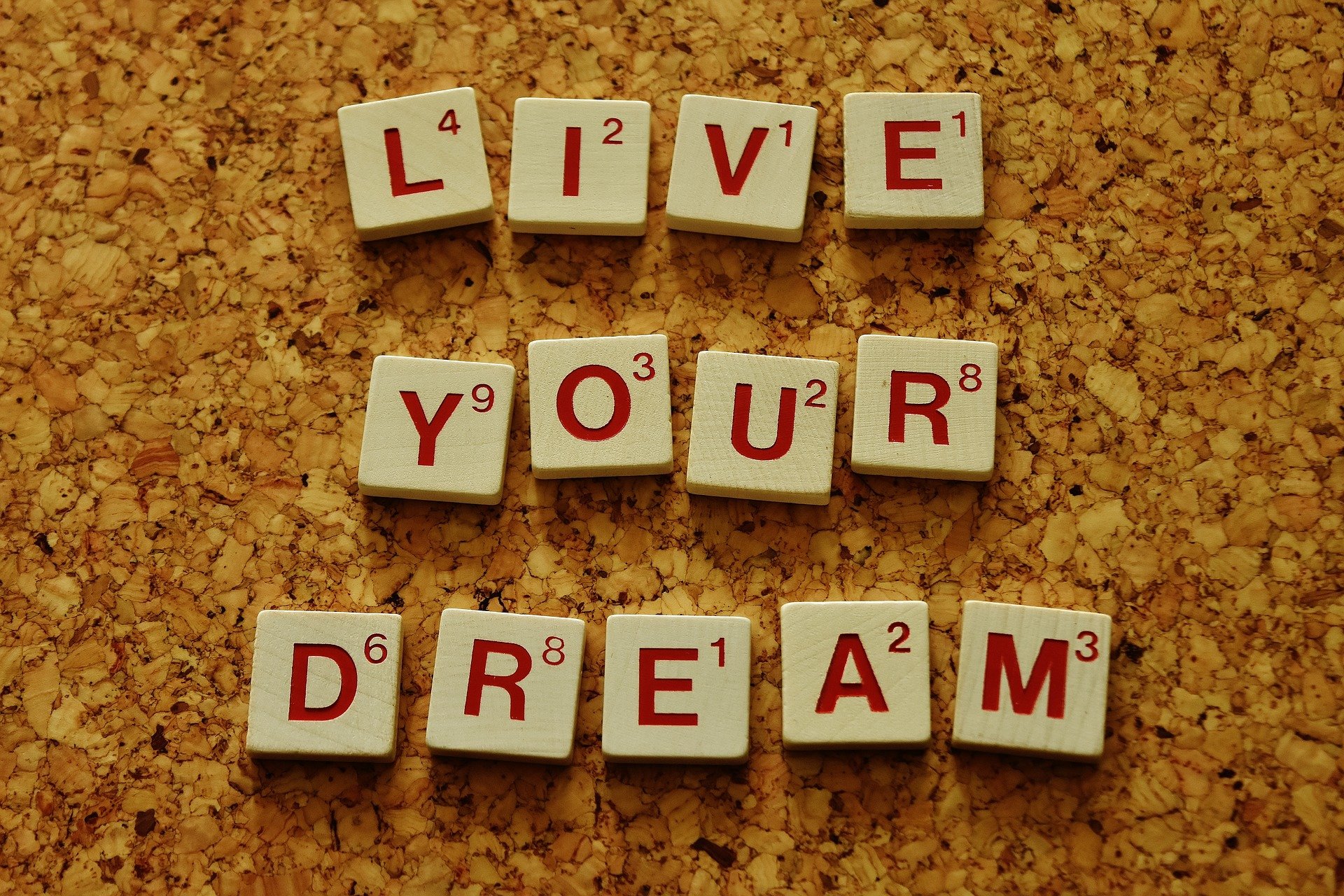 Trying to Make Your Dreams Come True? Here are Some Quotes to Help Boost Your Motivation
