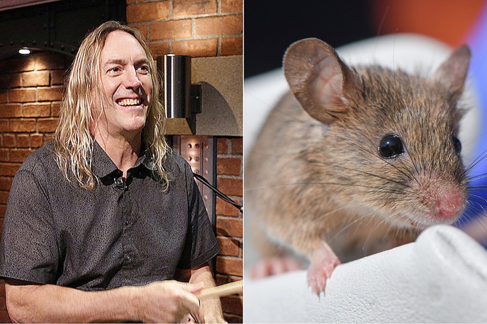 Watch Tool’s Danny Carey Try to Catch a Mouse