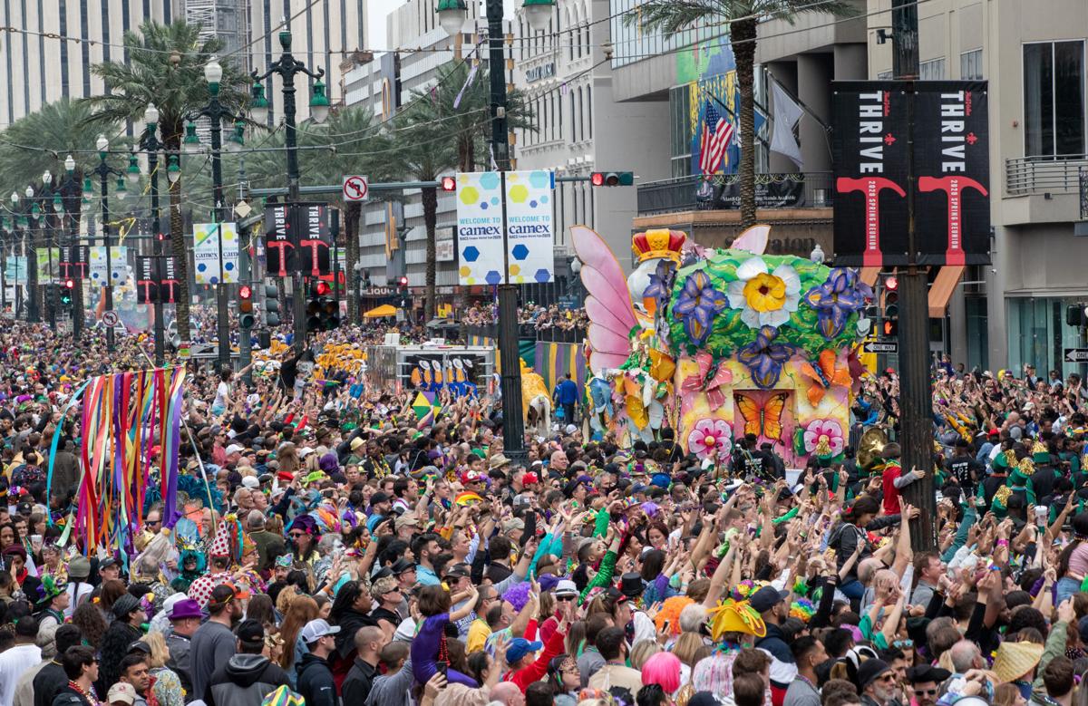 Making New Traditions, Celebrating Mardi Gras During a Pandemic