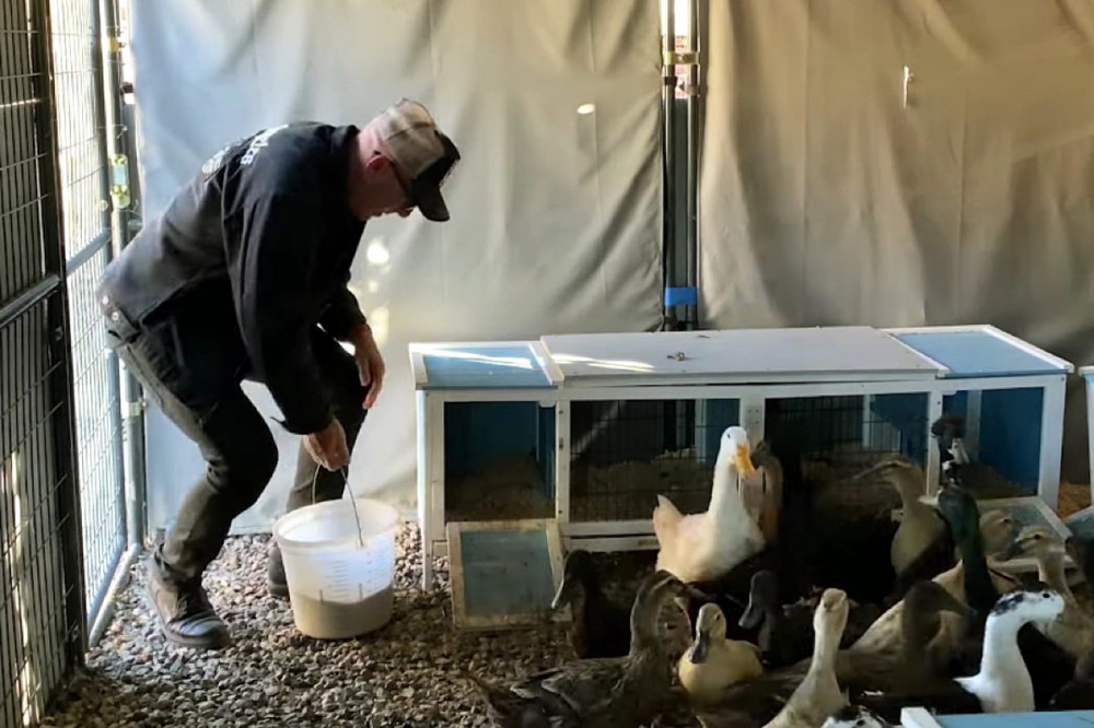 Maynard James Keenan Reflects on Spring, Feeds His Ducks in ‘An Easter Story’