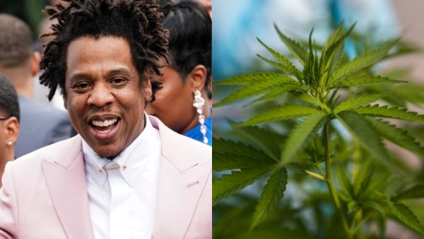 Jay-z Talk’s About Cannabis Legalization in New York