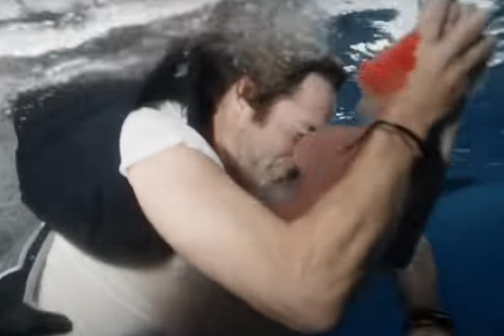 ‘Jackass Forever’ Guest Star Rushed to Hospital After Shark Attack