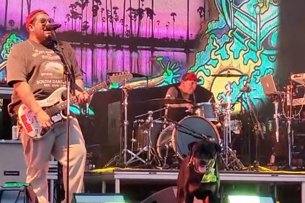 A Dog Played Fetch Onstage During Sublime With Rome’s Riot Fest Set