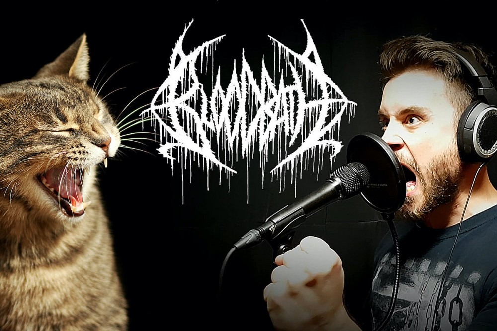 Vocalist Turns Classic Death Metal Track Into a Brutal Ode to Kittens