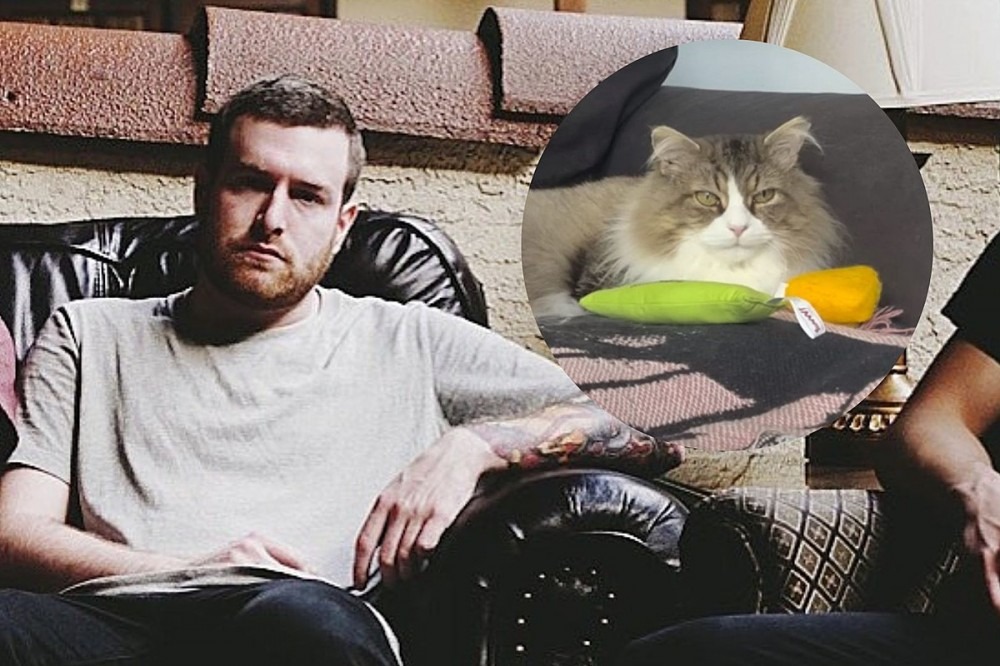 Fans Touched By New Counterparts Song About Singer’s Cat, Share Own Stories