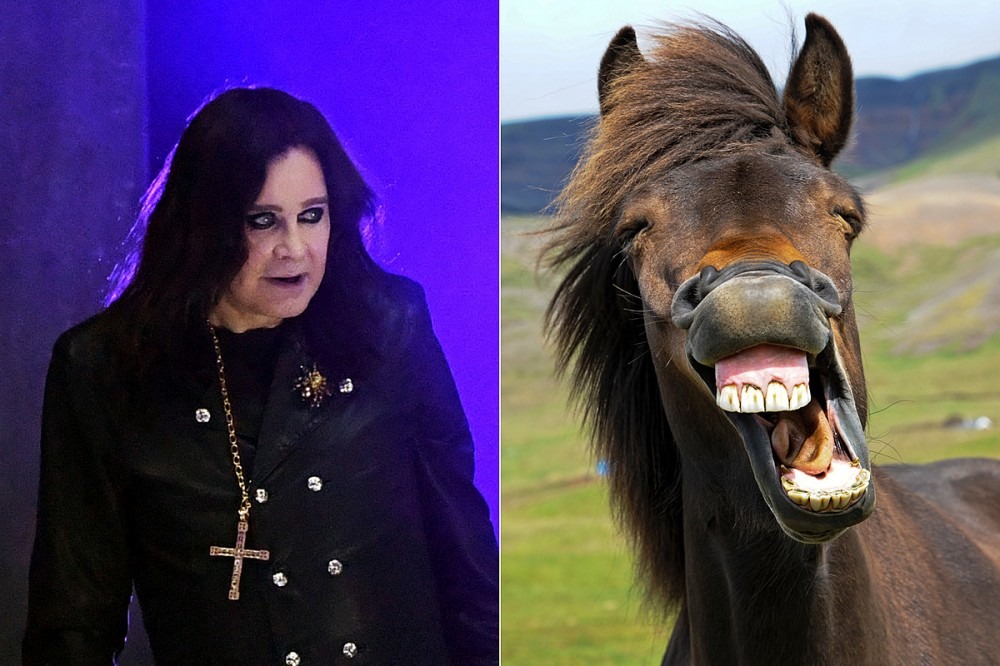 Ozzy Osbourne Swore Off Taking Acid After Talking to a Horse for an Hour