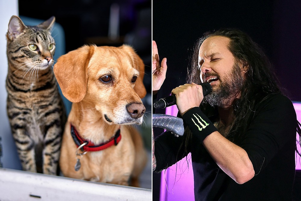 Korn’s Jonathan Davis Launching Pet Accessories Company Freak on a Leash