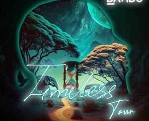 Davido Announces ‘TIMELESS’ Summer Tour for  Chicago, Houston, D.C. & More