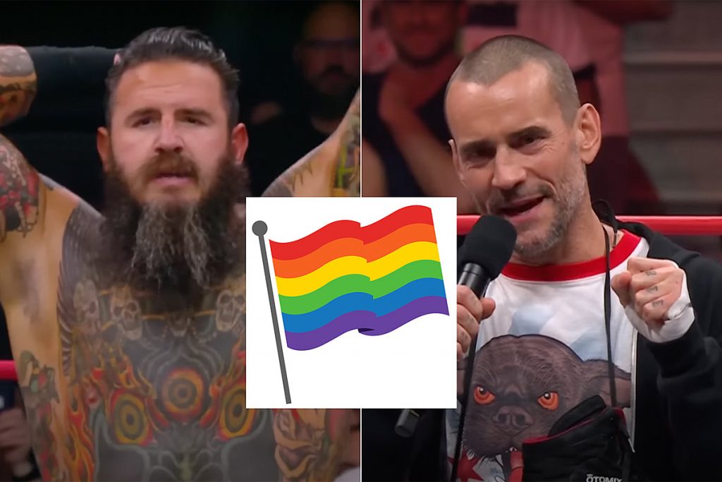 Wrestler’s Response to Fan Questioning CM Punk LGBTQ Support