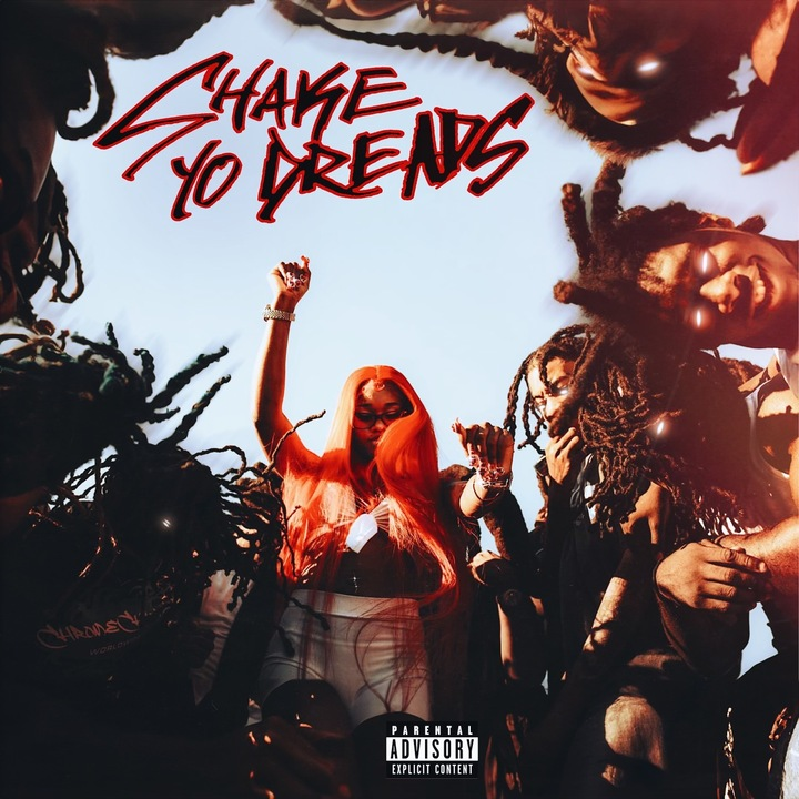 Sexyy Red Drops Off a New Single in “Shake Yo Dreads”
