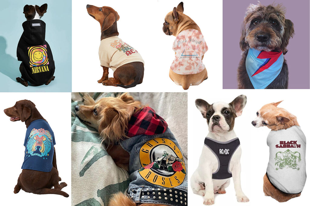 25 Classic Rock Outfits for Your Dog