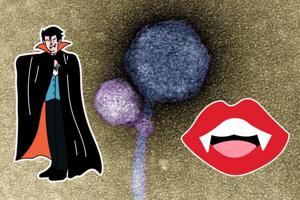 First Ever ‘Vampire Virus’ in the U.S. Continues to Be Studied