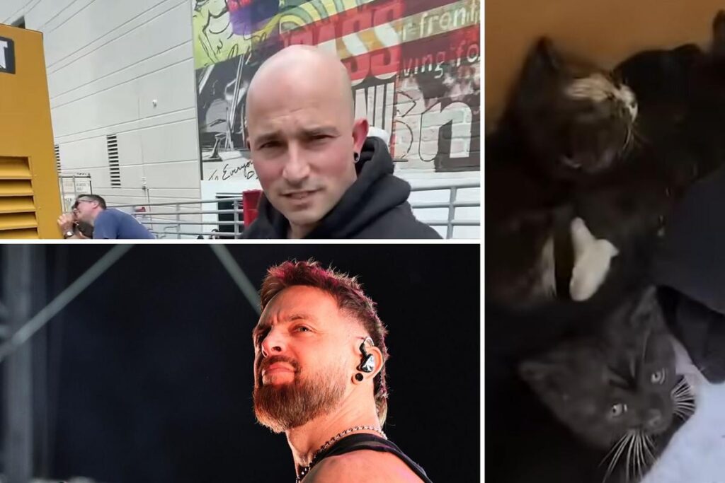 Watch Trivium + BFMV Save Abandoned Kittens From Diesel Generator Watch Trivium + BFMV Save Abandoned Kittens From Diesel Generator