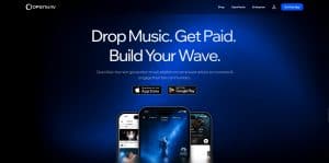 OpenWav x RADIOPUSHERS Launch Global Ambassadorship Platform for the New Music Economy OpenWav x RADIOPUSHERS Launch Global Ambassadorship Platform for the New Music Economy