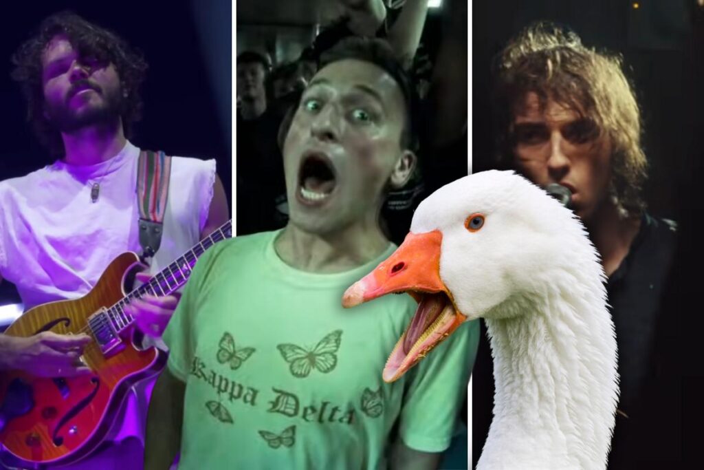 What to Know About Rock Bands Goose, Geese + Silly Goose